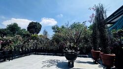 Villa Verde (D23), Terrace #546705911
